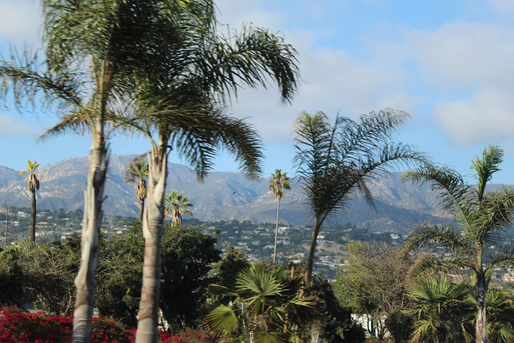 Palm trees down toward LA! 